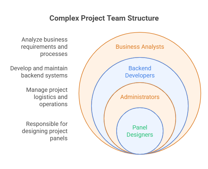 Complex Project Team Structure
